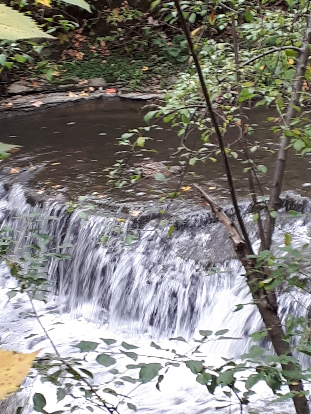 Ruisseau-De Montigny Nature Park | Anjou, QC H1J 2Y2, Canada | Phone: (514) 872-3434