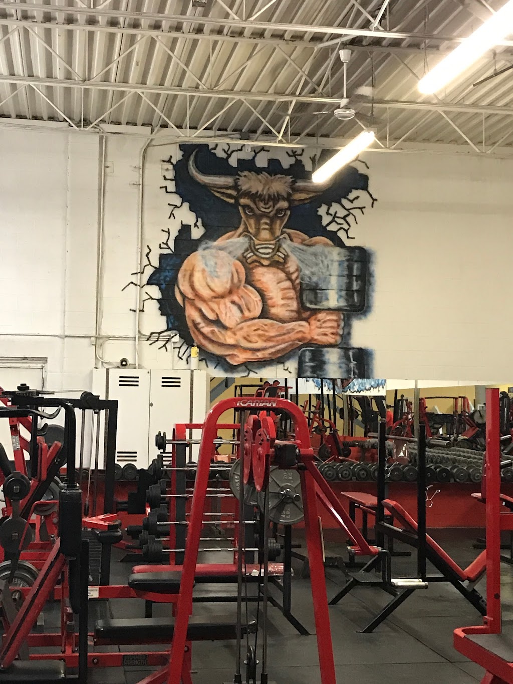 Bull Pen Gym | 10121 159 St NW, Edmonton, AB T5P 3A1, Canada | Phone: (780) 484-8256