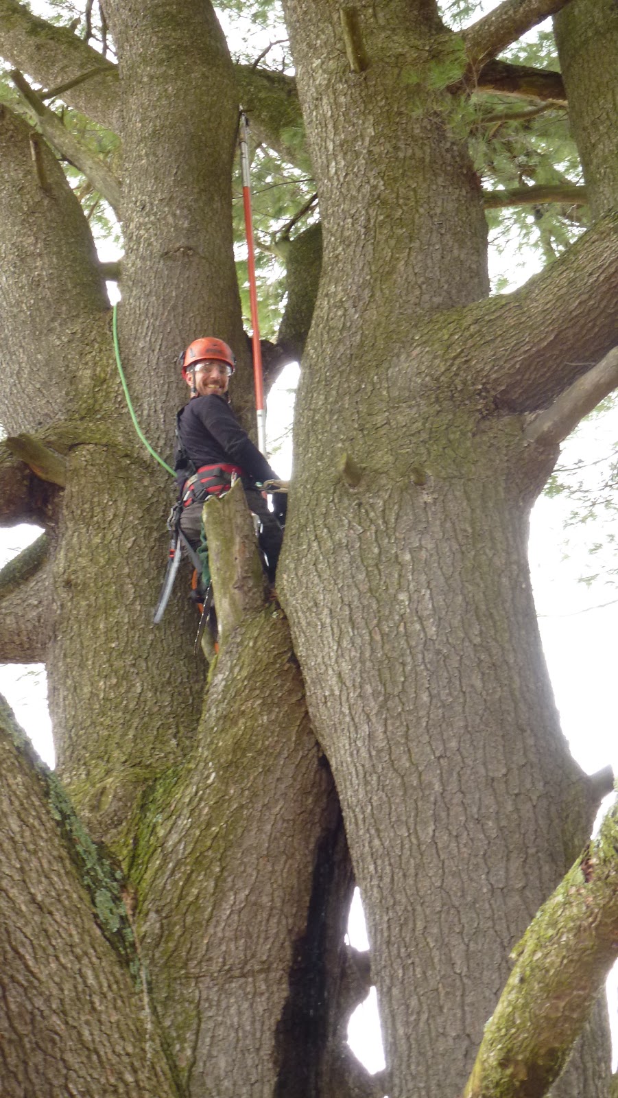 Arboriculture Carrier | 45 route 116 est, Warwick, QC J0P 1M0, Canada | Phone: (819) 350-2036