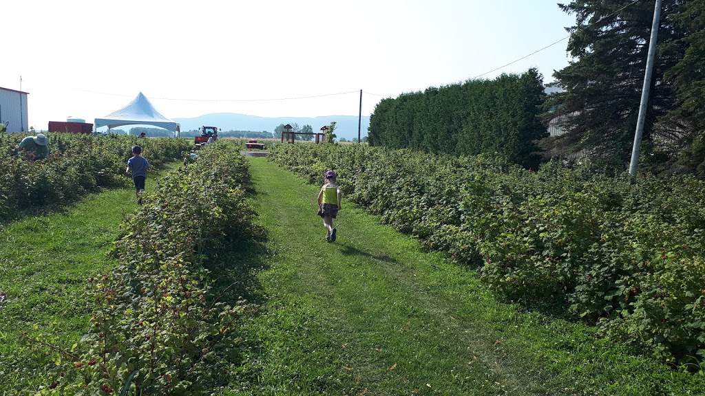 Les Jardins Claude et Maryse | 2525 Rang de la Rivière S, Saint-Jean-Baptiste, QC J0L 2B0, Canada | Phone: (450) 493-8343