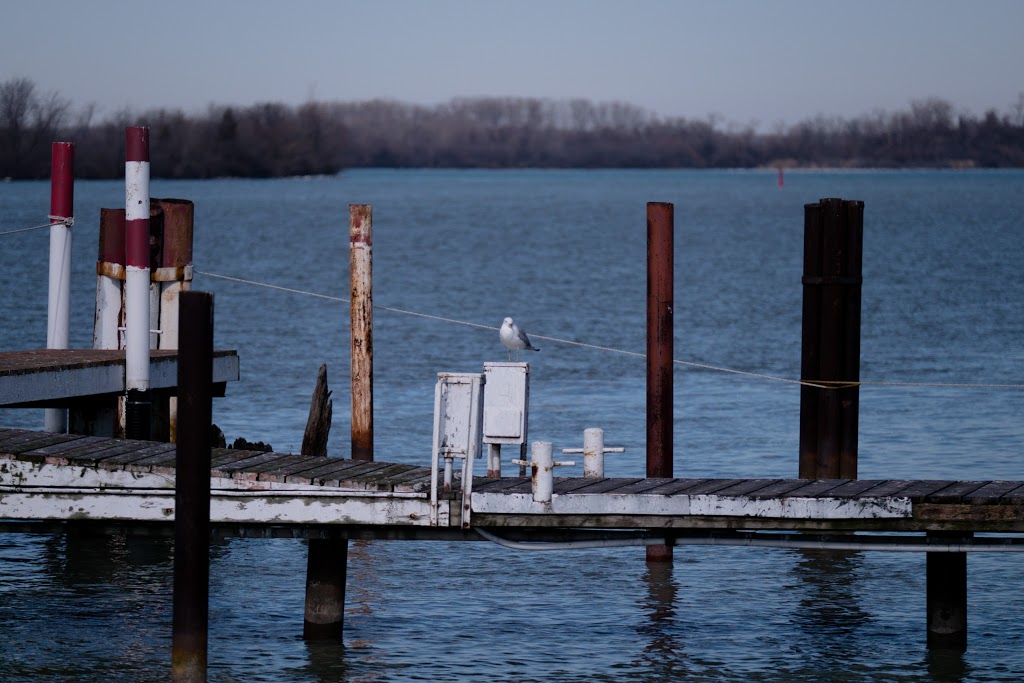 Amherstburg Ferry Company | 1X3,, 340 Dalhousie St, Amherstburg, ON N9V 1X3, Canada | Phone: (519) 791-5747