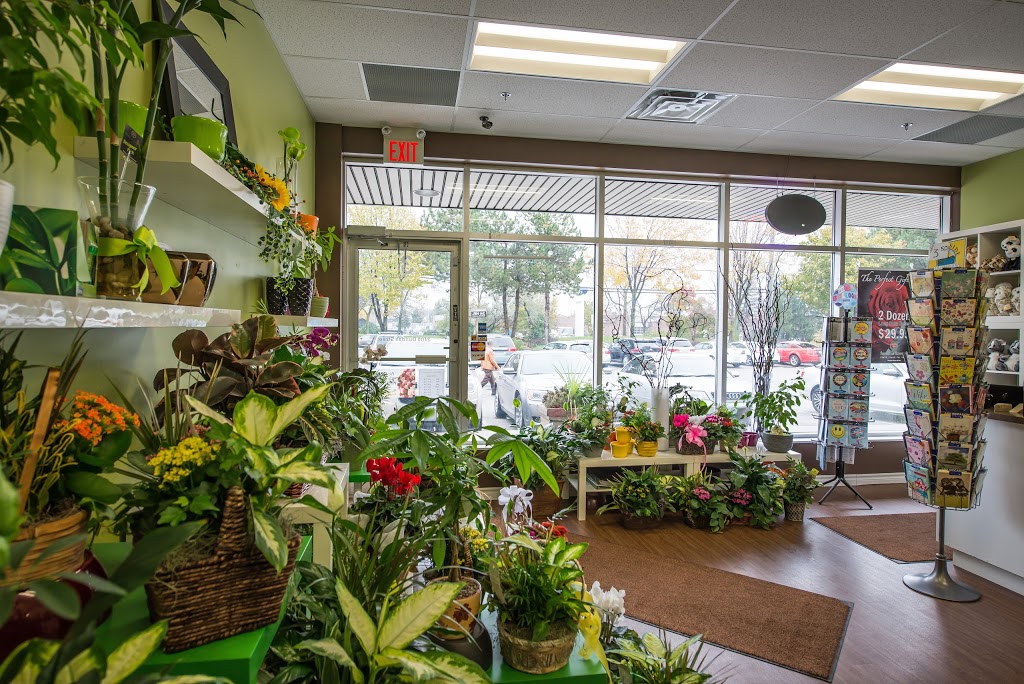 Forest of Flowers | 2400 Dundas St W #3, Mississauga, ON L5K 2R8, Canada | Phone: (905) 916-2424