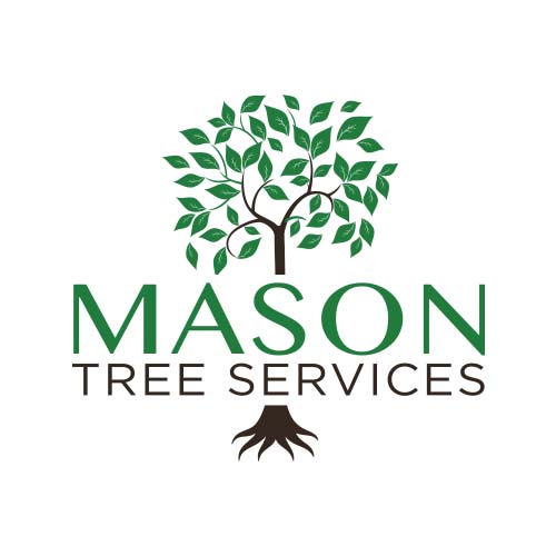 Mason Tree Services | 39 Margaret Ave N, Waterloo, ON N2J 3P3, Canada | Phone: (519) 503-1584