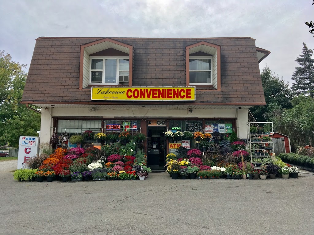 Lakeview Convenience Store | 126 Main St N, Acton, ON L7J 1W6, Canada | Phone: (519) 853-5045