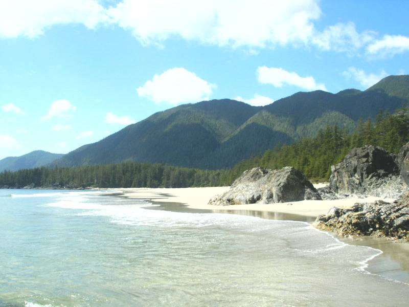 Wildwood Adventures | 6848 Sutherland Ave, Powell River, BC V8A 4V9, Canada | Phone: (604) 413-1341