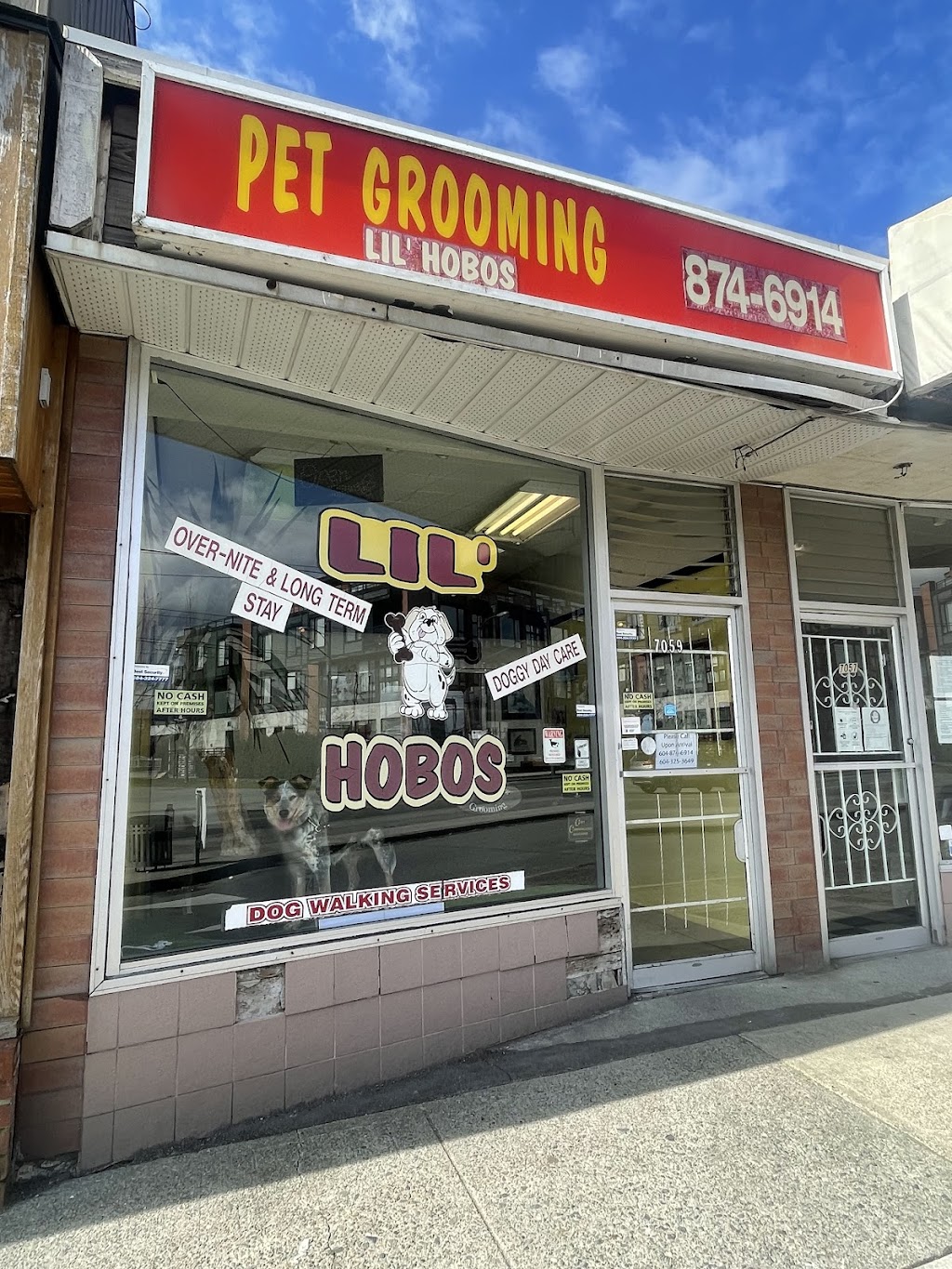 Lil Hobos Dog Grooming Co | 7059 Victoria Dr, Vancouver, BC V5P 3Y9, Canada | Phone: (604) 874-6914