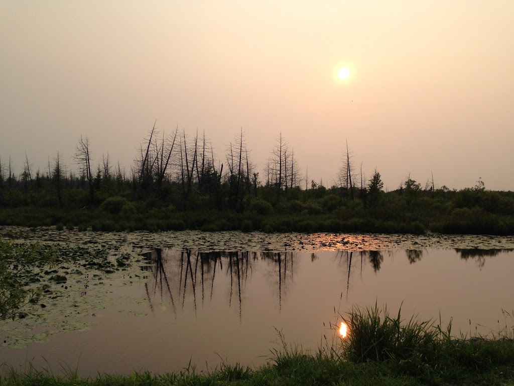 Osprey Wetlands | Badjeros, ON N0C 1A0, Canada