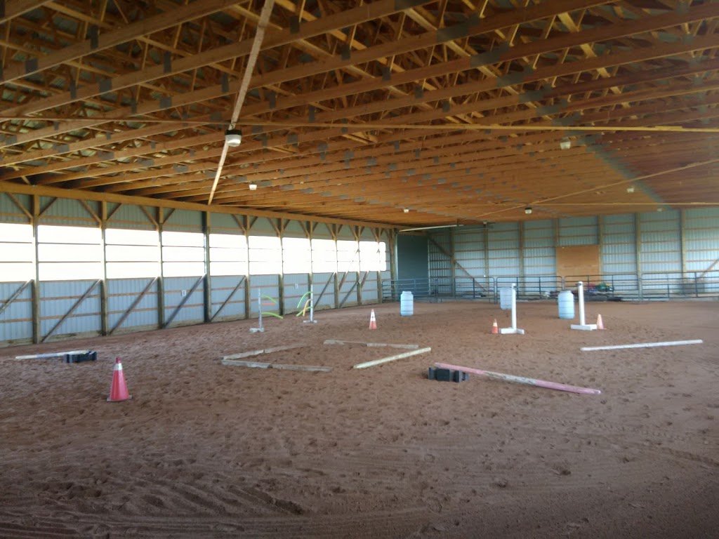 Wyndym Equine (at Mulgrave) | 4515 Garrison Rd, Ridgeway, ON L0S 1N0, Canada | Phone: (905) 347-0251