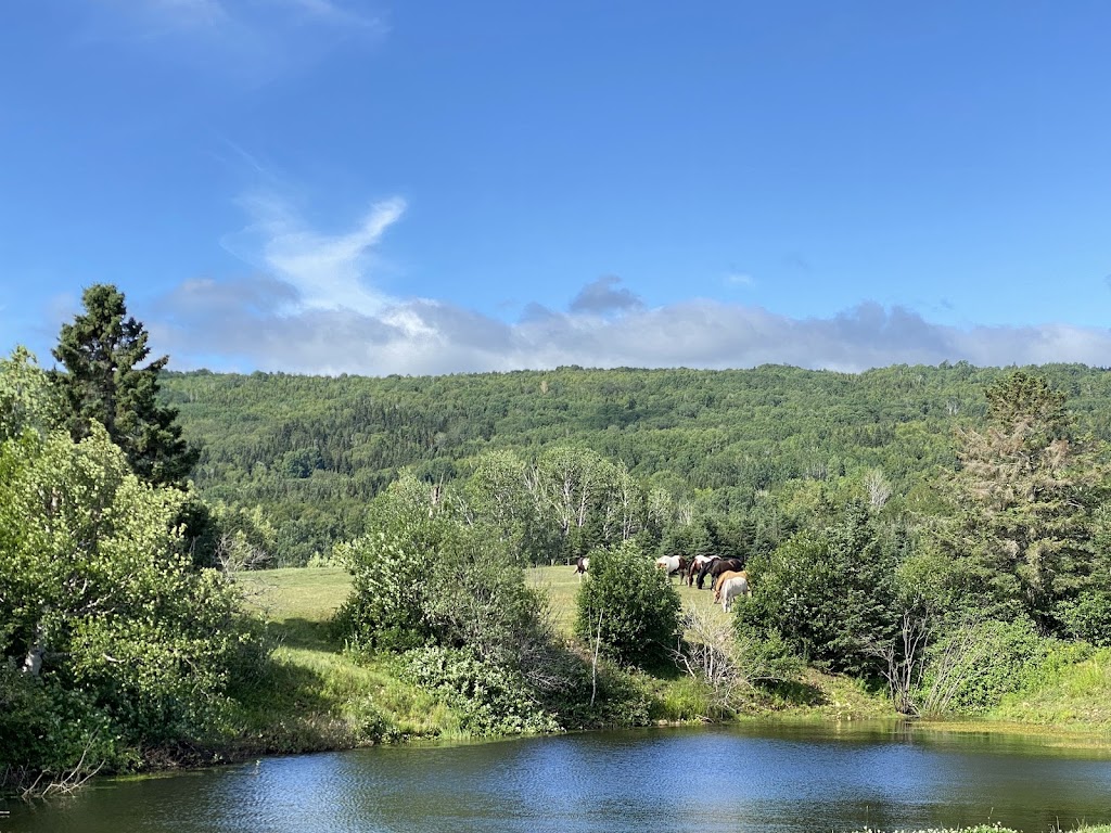 Camping équestre des mines en Charlevoix | 667 Rue St Édouard, Saint-Urbain, QC G0A 4K0, Canada | Phone: (418) 435-1538