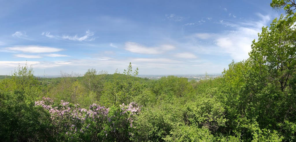 Mount Royal Summit | Ville-Marie, Montreal, QC H2W 1S8, Canada