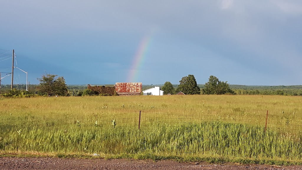 Aurora Green Farm | Georgina, ON L0E 1N0, Canada | Phone: (905) 473-6669