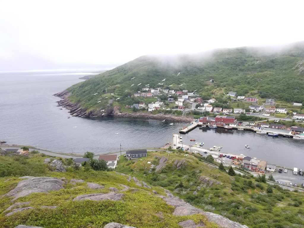 Ocean Lookout Point | Motion Bay Rd Ext, St. Johns, NL A1G 1T6, Canada