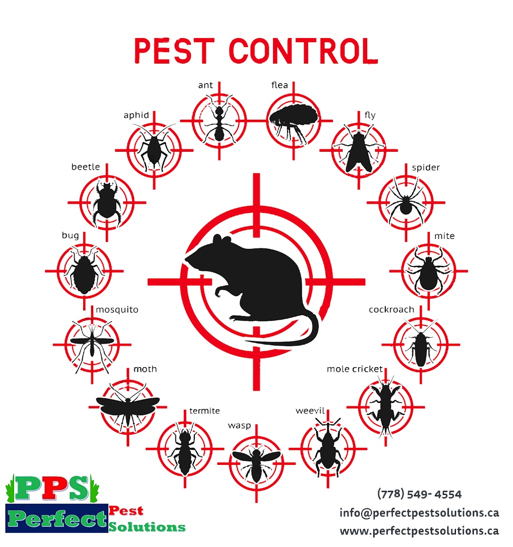 Perfect Pest Solutions | 1925 Dorset Ave, Port Coquitlam, BC V3B 2A5, Canada | Phone: (778) 549-4554