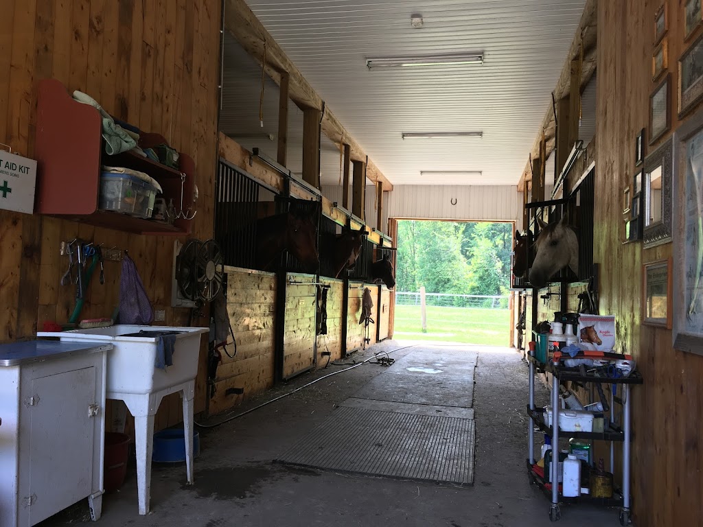 Silver Tree Stables | 121 Forest Park Rd, Pembroke, ON K8A 6W2, Canada | Phone: (613) 638-3155