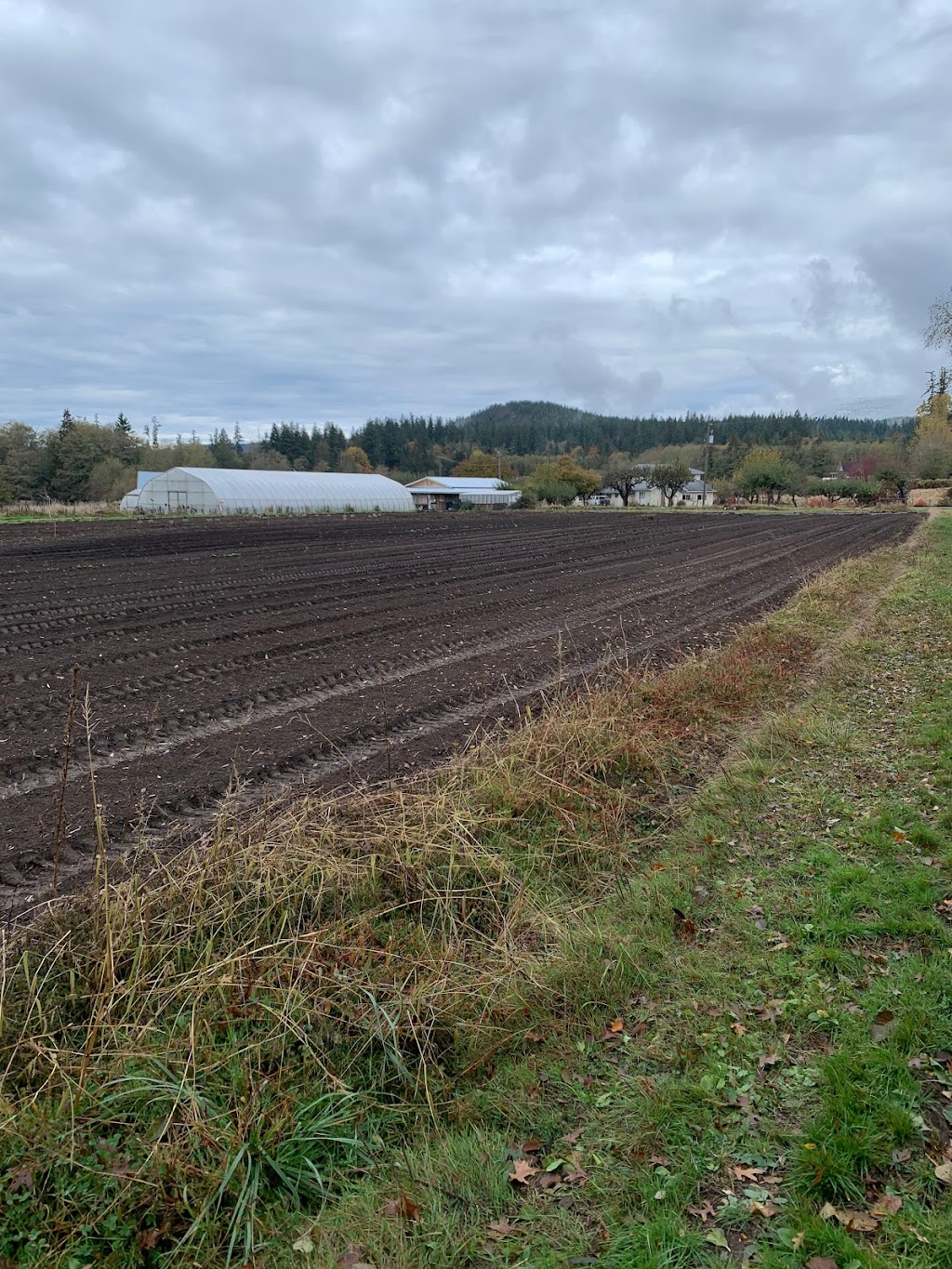 Coming Home Farm | 6603 McMahon Ave, Powell River, BC V8A 4W2, Canada | Phone: (604) 722-2504