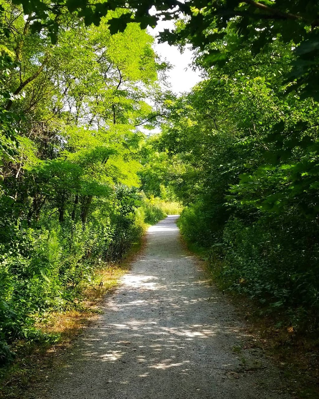 Crothers Woods | Crothers Woods Trail, East York, ON M4H 1P6, Canada | Phone: (416) 392-2489