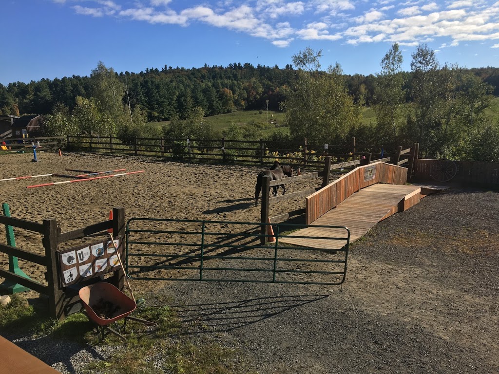 Ranch thérapeutique cheval de soie | 580 Chemin du Sanctuaire, Sherbrooke, QC J1H 0E1, Canada | Phone: (819) 620-3377