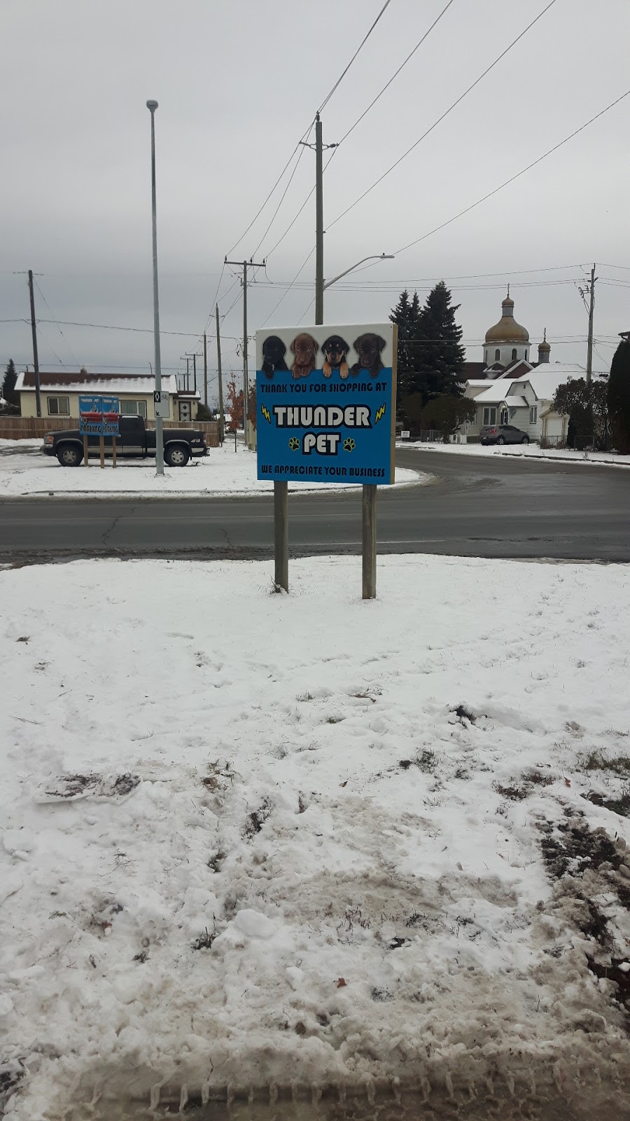 Thunder Pet | 1605 Mountdale Ave, Thunder Bay, ON P7E 3A7, Canada | Phone: (807) 286-3303