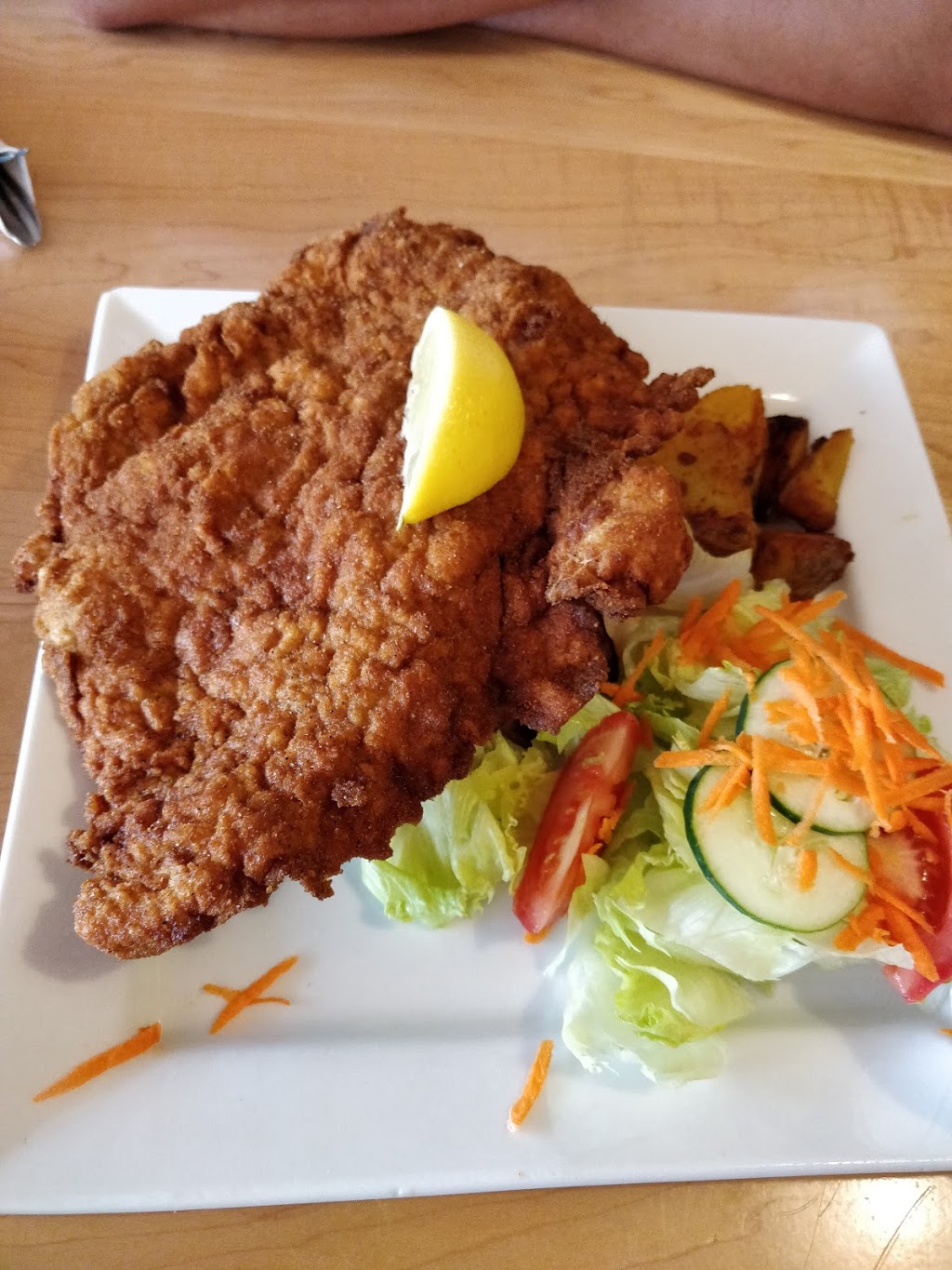 Vs Schnitzel House | 448 Browns Line, Etobicoke, ON M8W 3T9, Canada | Phone: (416) 255-3179