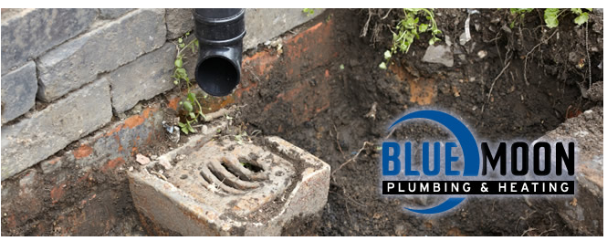 Blue Moon Plumbing & Heating Ltd. | 22444 72 Ave, Langley Twp, BC V2Y 2K4, Canada | Phone: (604) 533-2583