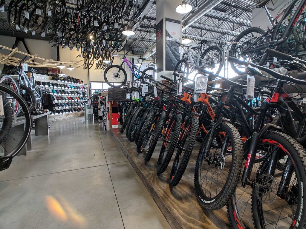 The Bike Shop North | 4112 - 8650 112 Ave NW, Calgary, AB T3R 0R5, Canada | Phone: (403) 454-4404