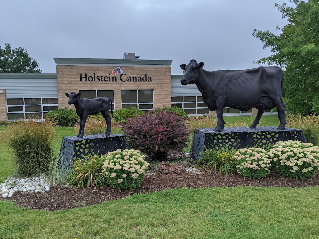 Holstein Association Of Canada | 20 Corporate Place, Brantford, ON N3R 8A6, Canada | Phone: (519) 756-8300