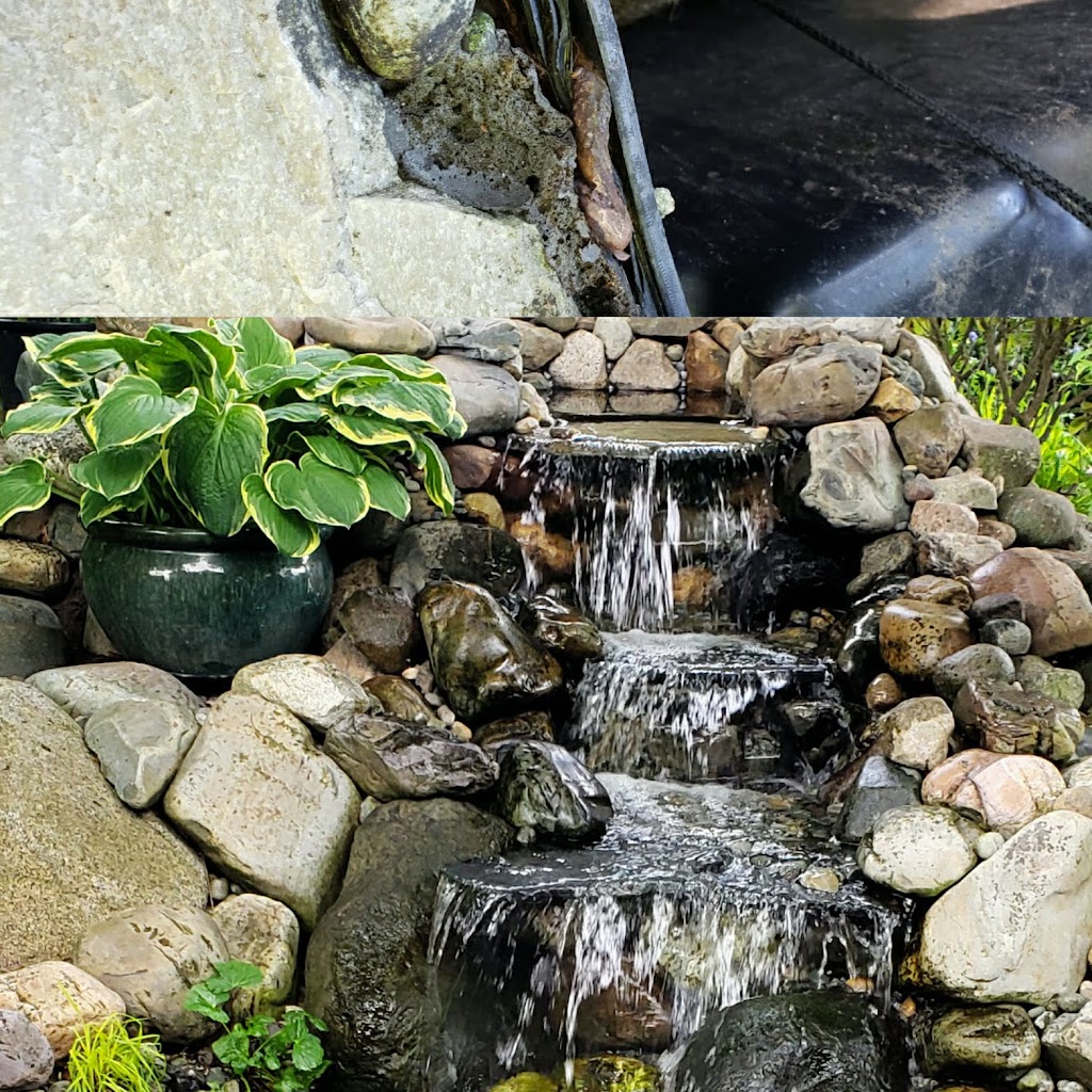 Superior Ponds & Landscaping | 5224 7a Ave, Delta, BC V4M 1R4, Canada | Phone: (604) 943-6070