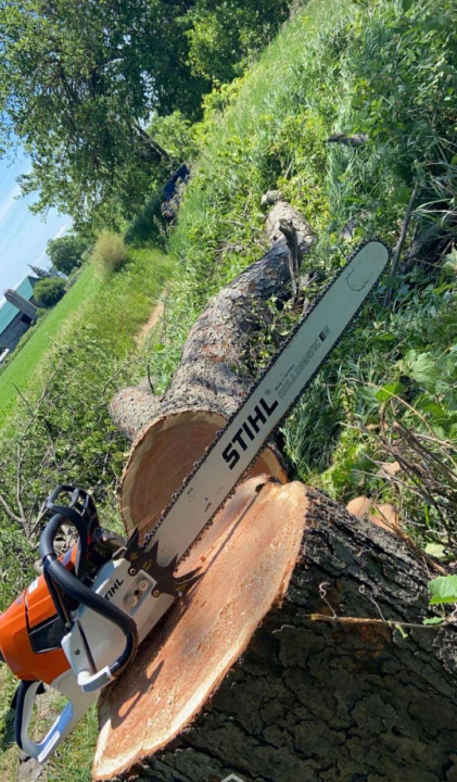 Stump Up Tree Service | 81 Hopkins Ct, Hamilton, ON L9H 5M7, Canada | Phone: (905) 379-7245