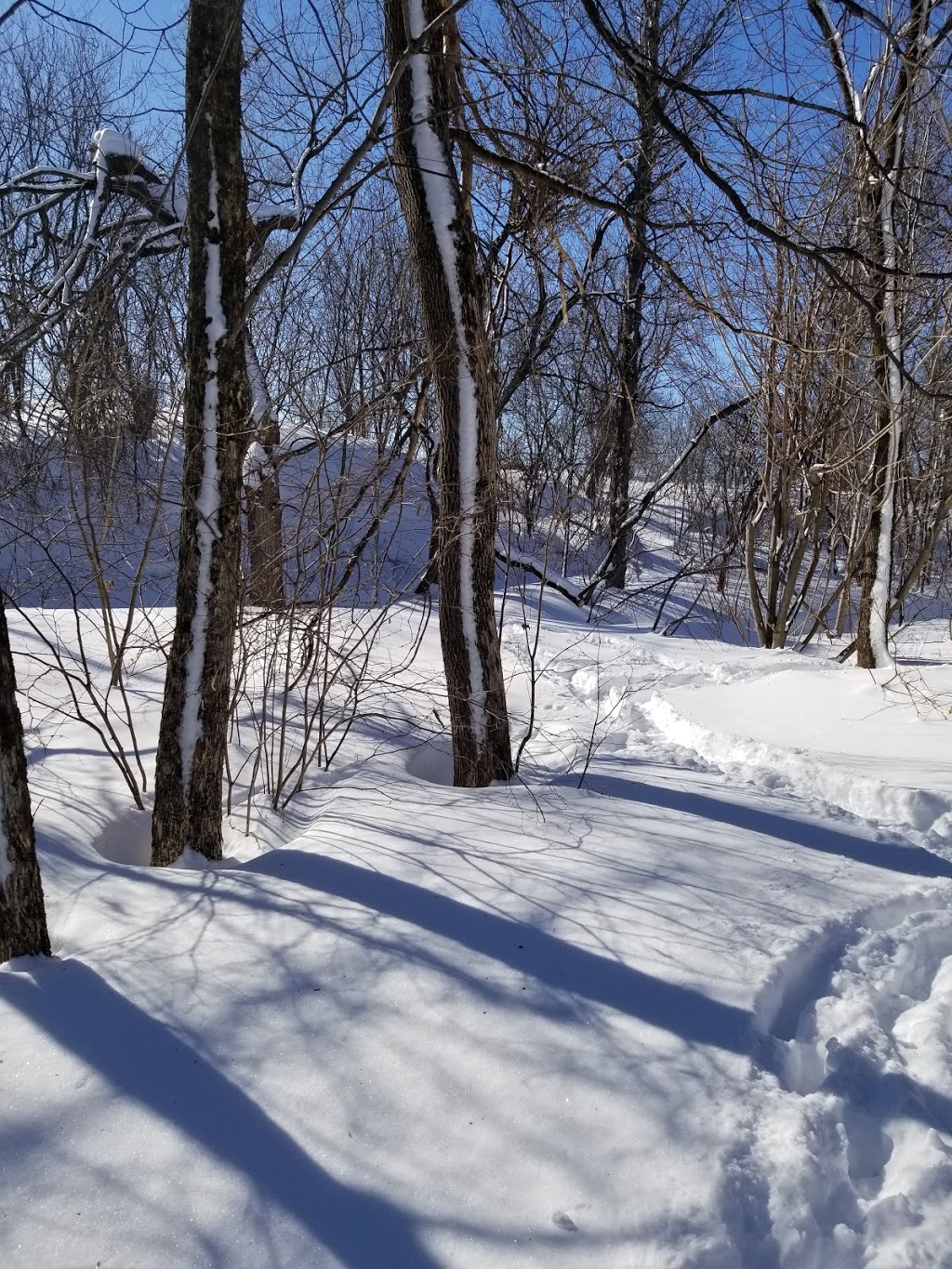 Parc de la Rivière Beauport Sud | Unnamed Road, Québec, QC G1E 4S8, Canada