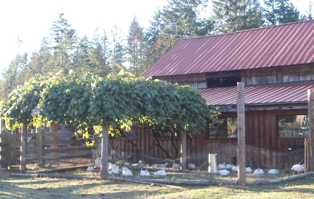 Shiloh Forest Farm | 3449 Slaney Rd, Qualicum Beach, BC V9K 1X5, Canada | Phone: (250) 752-6545