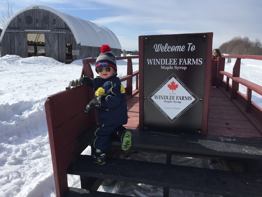 Windlee Farms Maple Syrup | 10 Baseline Rd N, Tiny, ON L4R 0E3, Canada | Phone: (705) 526-0769