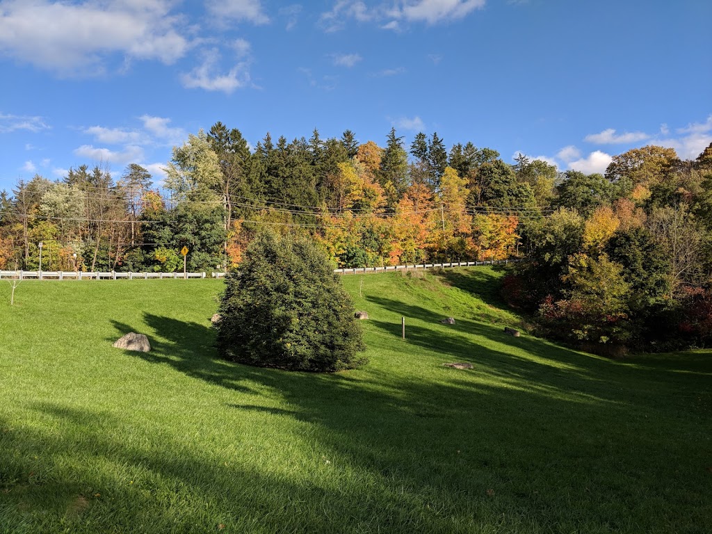 Smokey Hollow Waterfall | 80 Mill St S, Hamilton, ON L0R 2H0, Canada