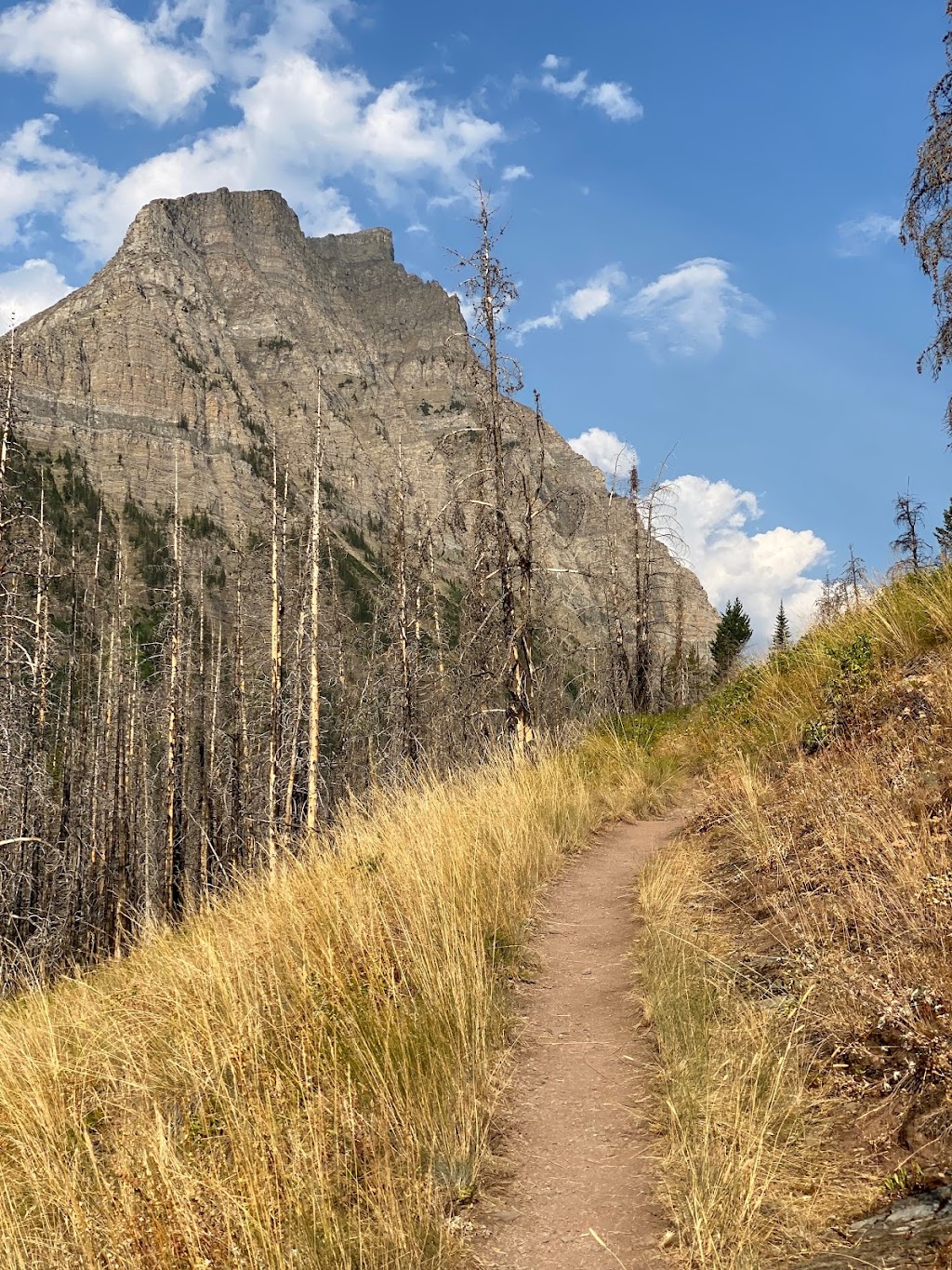 Lineham Falls Trailhead | Lineham Creek, Waterton Park, AB T0K 2M0, Canada | Phone: (403) 859-5133