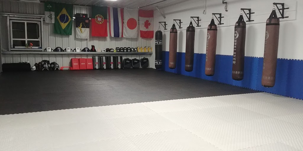Bigode Martial Arts & Fitness | 571 Lacolle Way UNIT 201, Orléans, ON K4A 5B6, Canada | Phone: (613) 668-5122