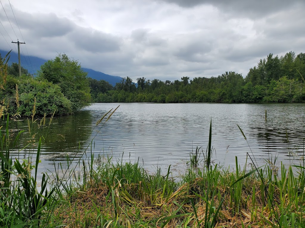 Great Blue Heron Nature Reserve | 5200 Sumas Prairie Rd, Chilliwack, BC V2R 4N7, Canada | Phone: (604) 823-6603