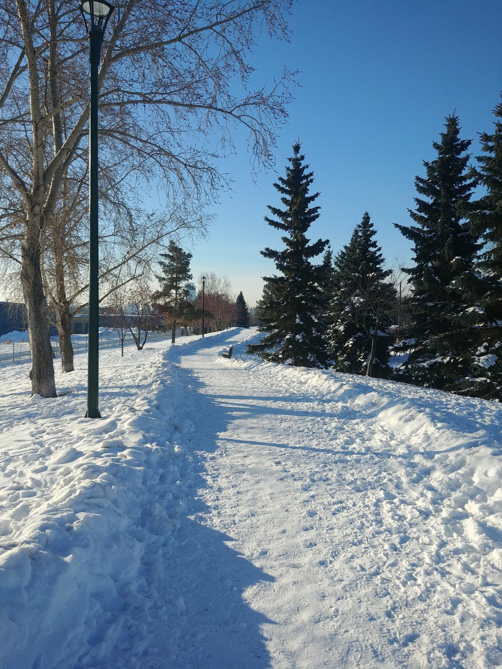 Off Leash Dog Park | 11740 121 St NW, Edmonton, AB T5M 0B6, Canada | Phone: (780) 496-1476