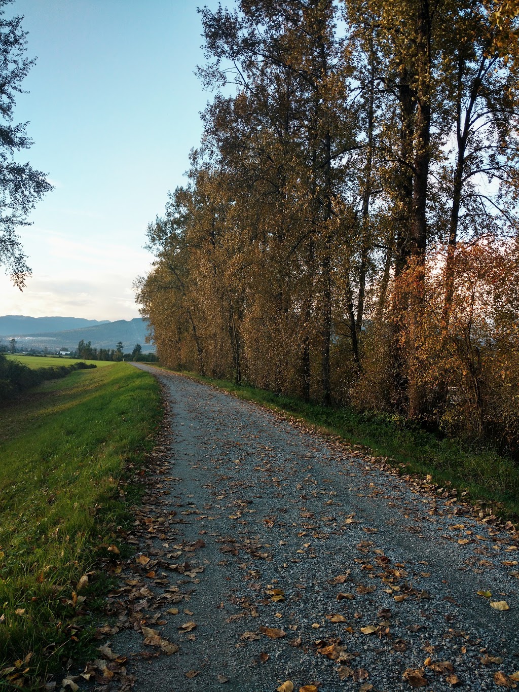 Jerry Sulina Park | Maple Ridge, BC V4R 2R9, Canada