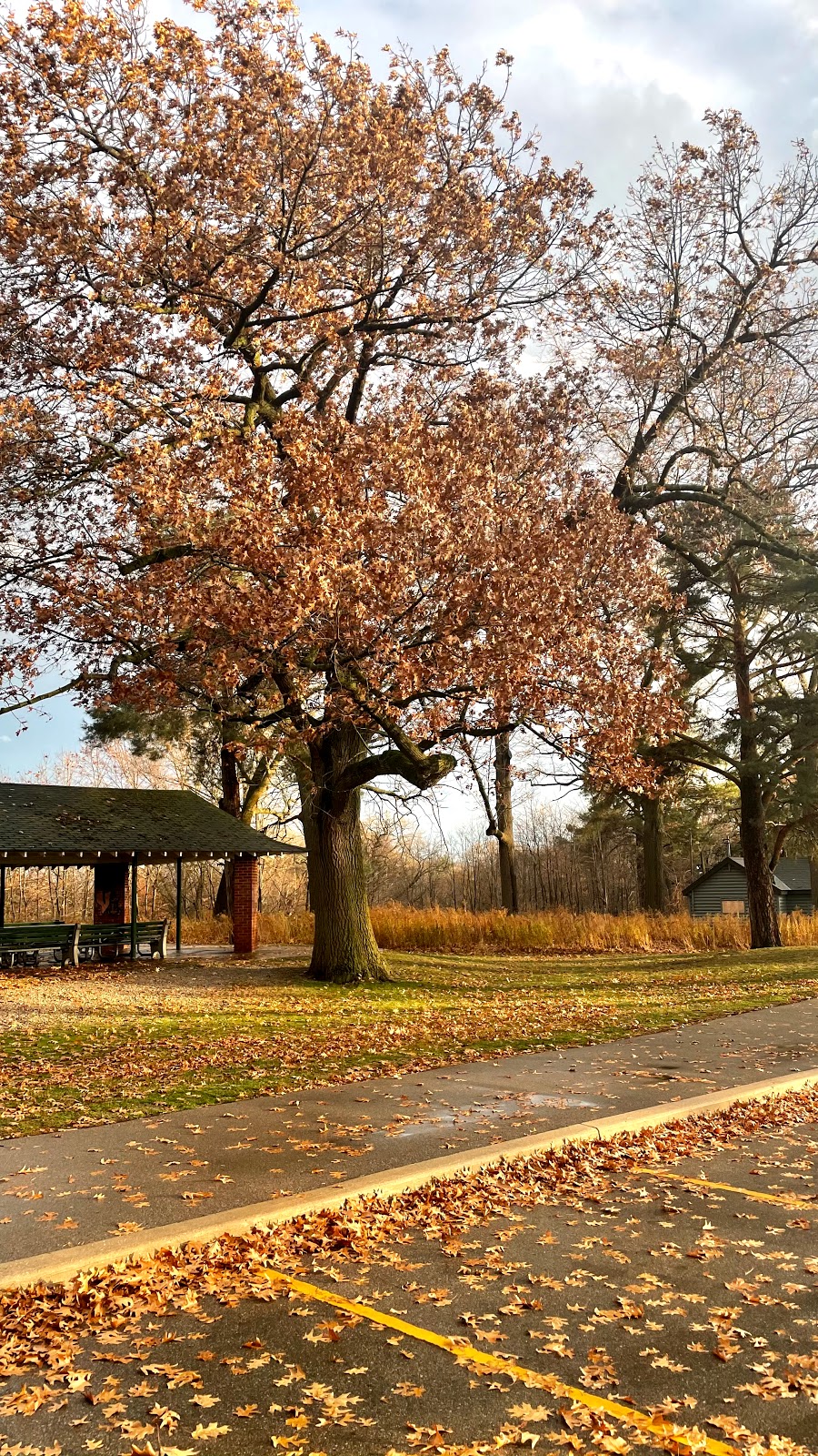 High Park Outdoor Pool | 1873 Bloor St W, Toronto, ON M6R 2Z3, Canada | Phone: (416) 392-7807