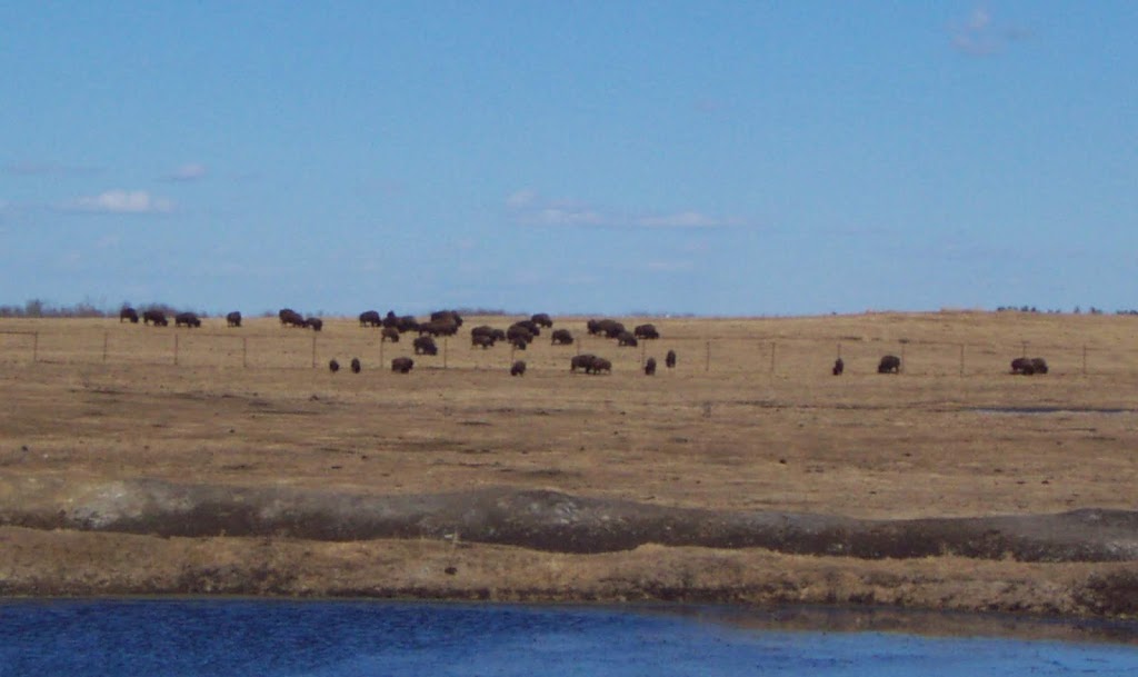 Our Lady of Mount Carmel | Range Rd 235, Sturgeon County, AB T0G 1L0, Canada