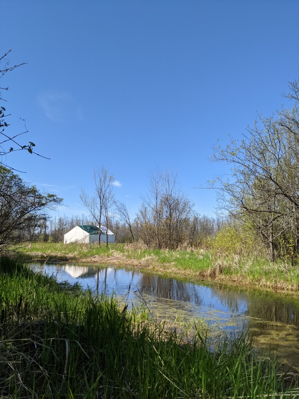 Out to Play Farm and Forest School | Davidsons Side Road, Ottawa, ON K2K 2Z4, Canada | Phone: (819) 318-0759