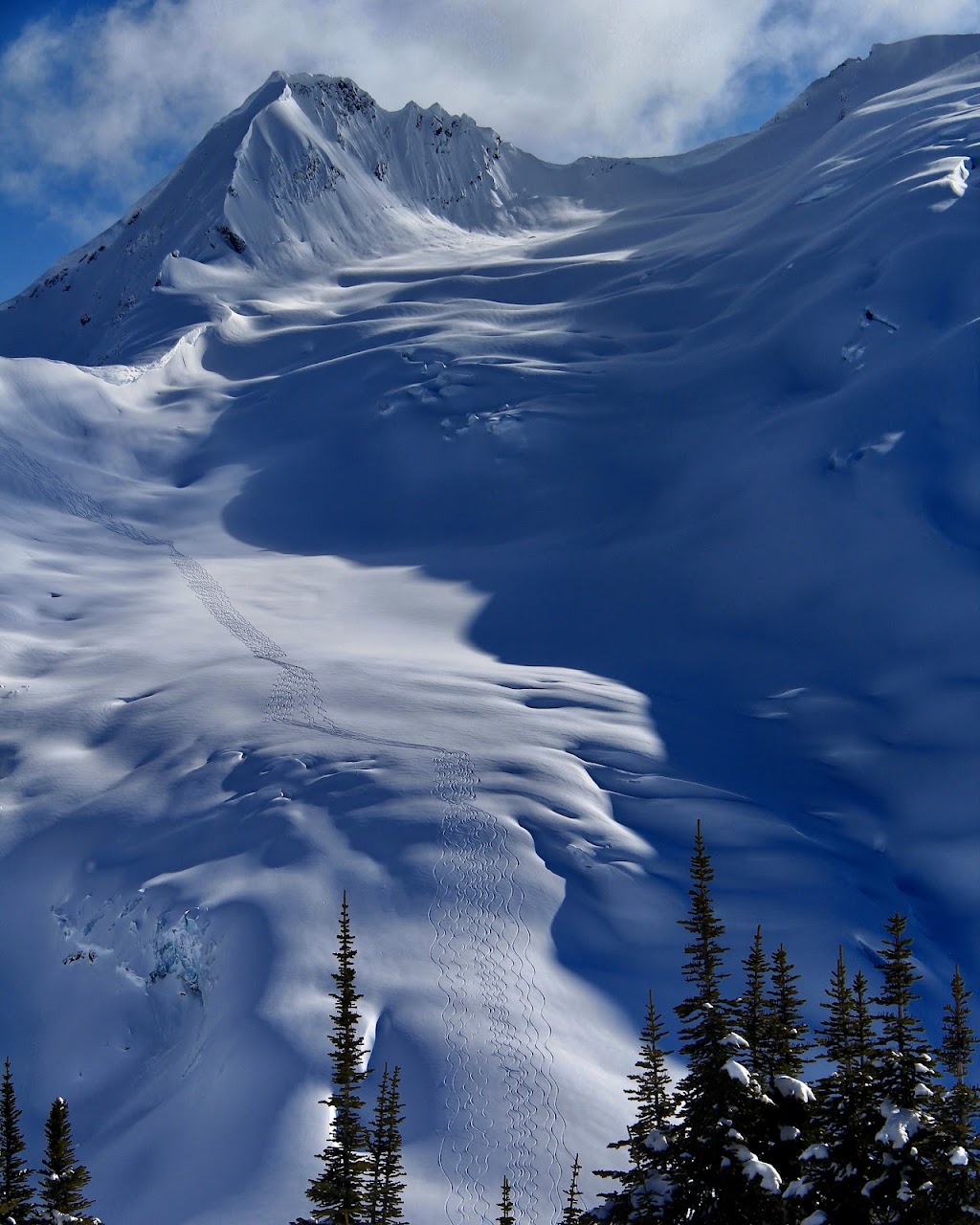 Selkirk Powder Descents | 858 Ohlhausen Rd, Revelstoke, BC V0E 3K0, Canada | Phone: (250) 837-1684