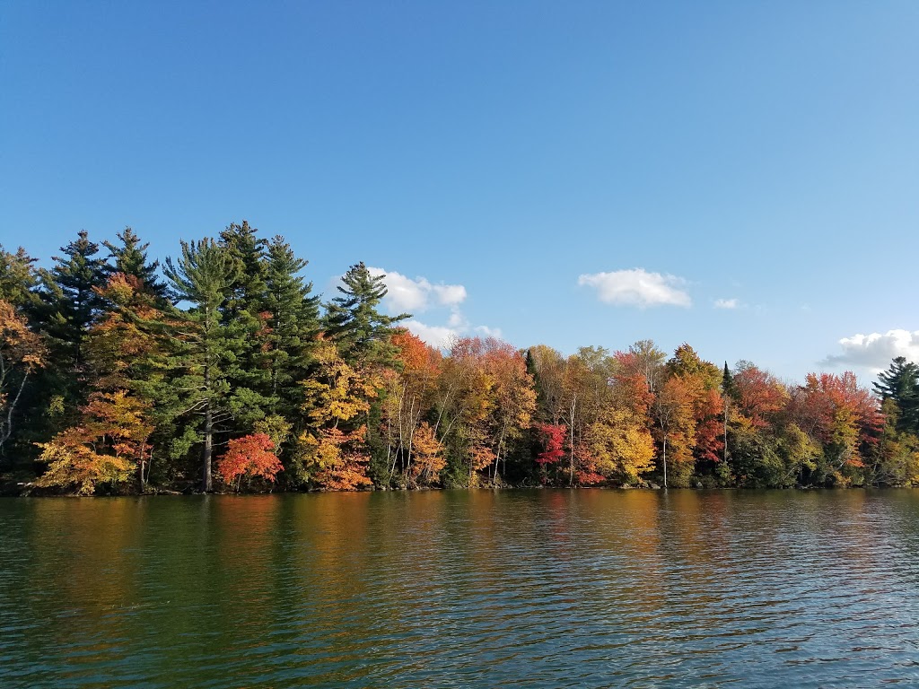 Lake Carmi State Park | 460 Marsh Farm Rd, Franklin, VT 05457, USA | Phone: (802) 933-8383