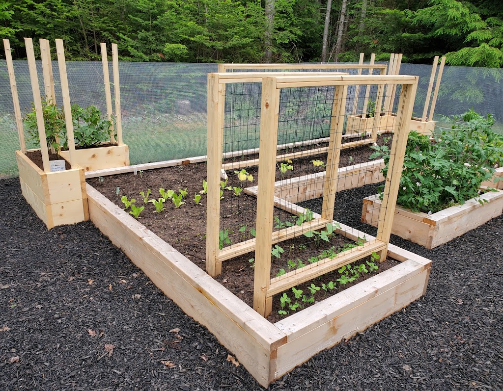 Winters Garden Bed & Greenhouse | 7 Stokil Dr, Lower Sackville, NS B4C 2V1, Canada | Phone: (902) 209-7409