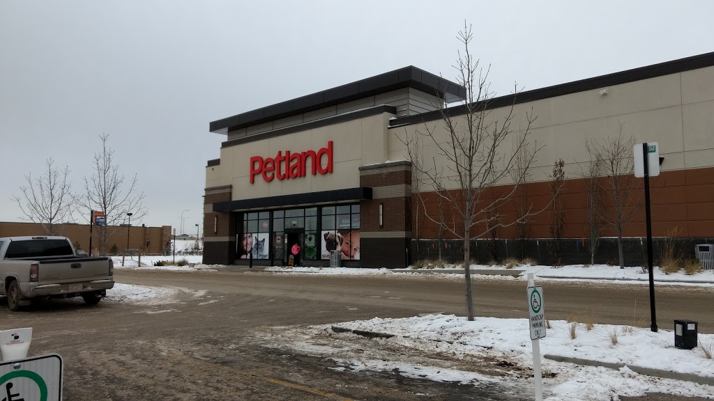 Petland Manning | 15526 37 St NW, Edmonton, AB T5Y 0S5, Canada | Phone: (780) 475-5399