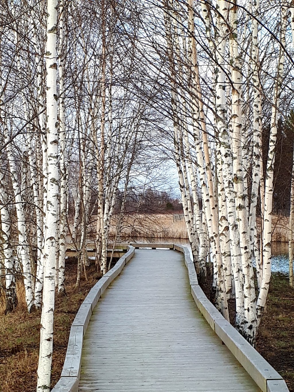 Sackville Waterfowl Park | 34 Mallard Dr, Sackville, NB E4L 1G6, Canada | Phone: (506) 364-4930