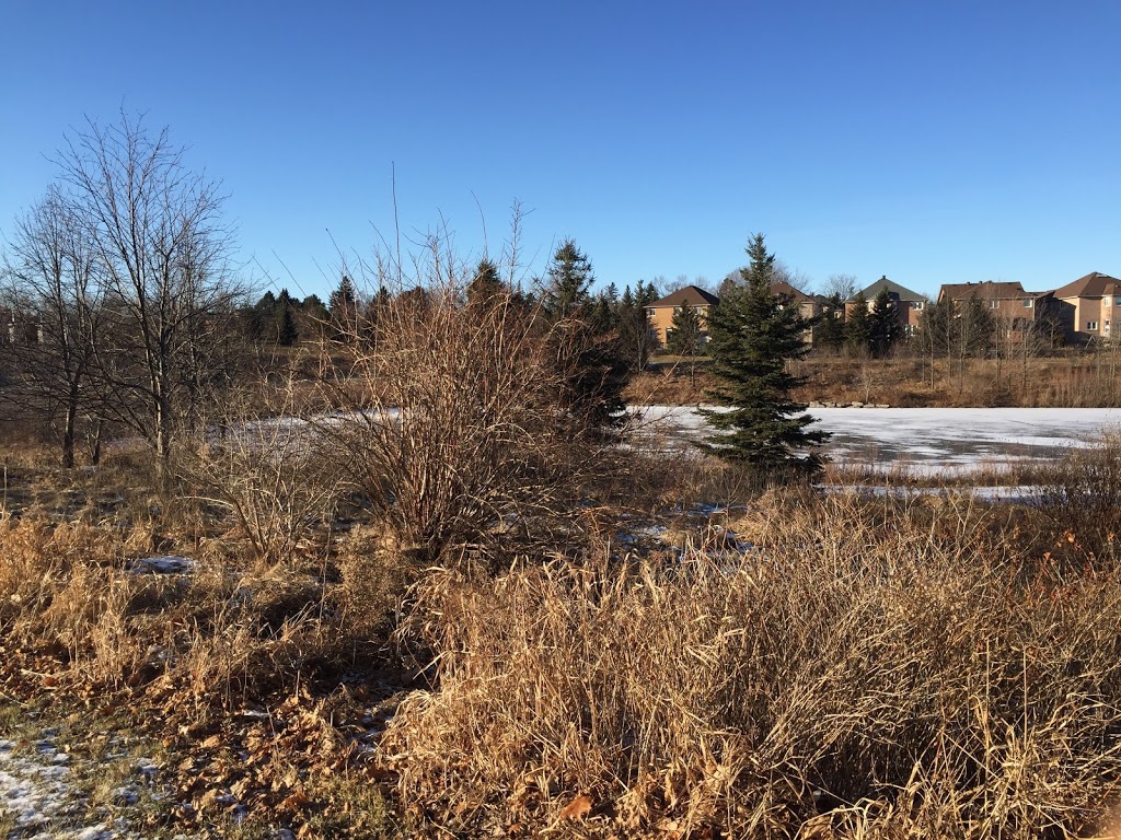 South Unionville Stormwater Management Park | Unnamed Road, Unionville, ON L3R 4S2, Canada