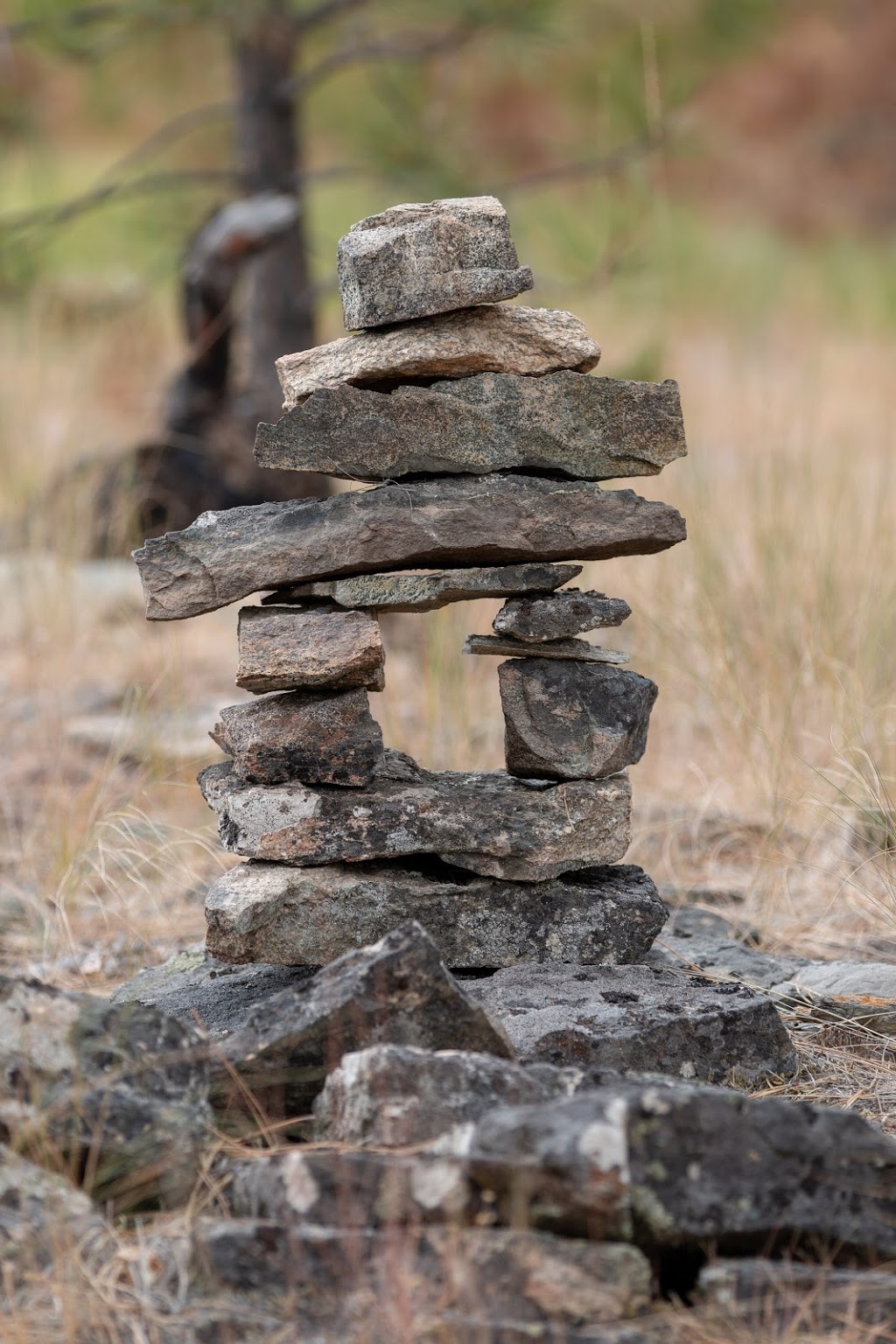 Garnet Fire Interpretive Centre | Beaver Dell Rd, Penticton, BC V2A 8V6, Canada