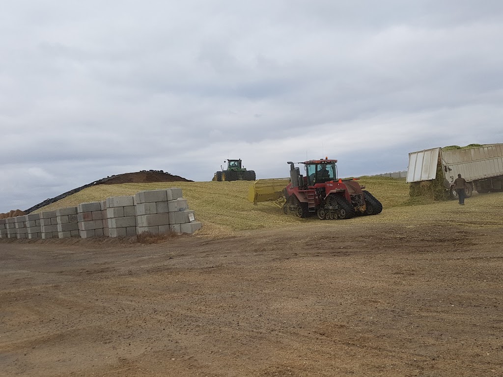 KCL Cattle Company Ltd - East Lot | Box 18, SW-16-9-19, Coaldale, AB T1M 1M2, Canada | Phone: (403) 328-6565