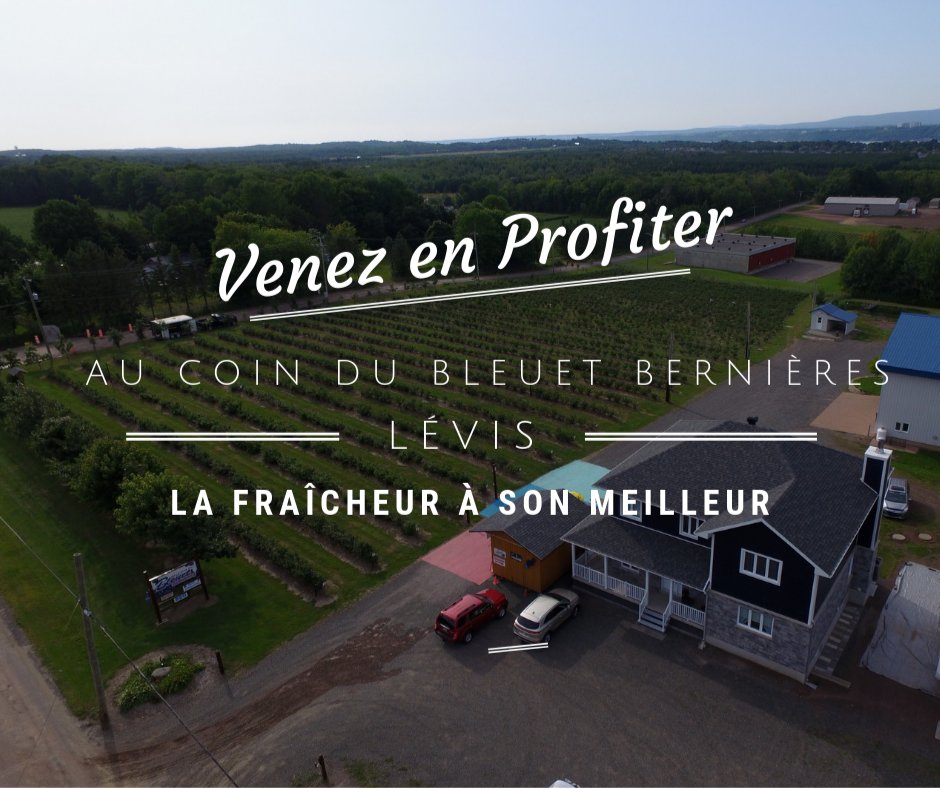 Au coin du Bleuet - Bernières | 820 Chemin Vire-Crêpes, Saint-Nicolas, QC G7A 1Z8, Canada | Phone: (418) 831-7129