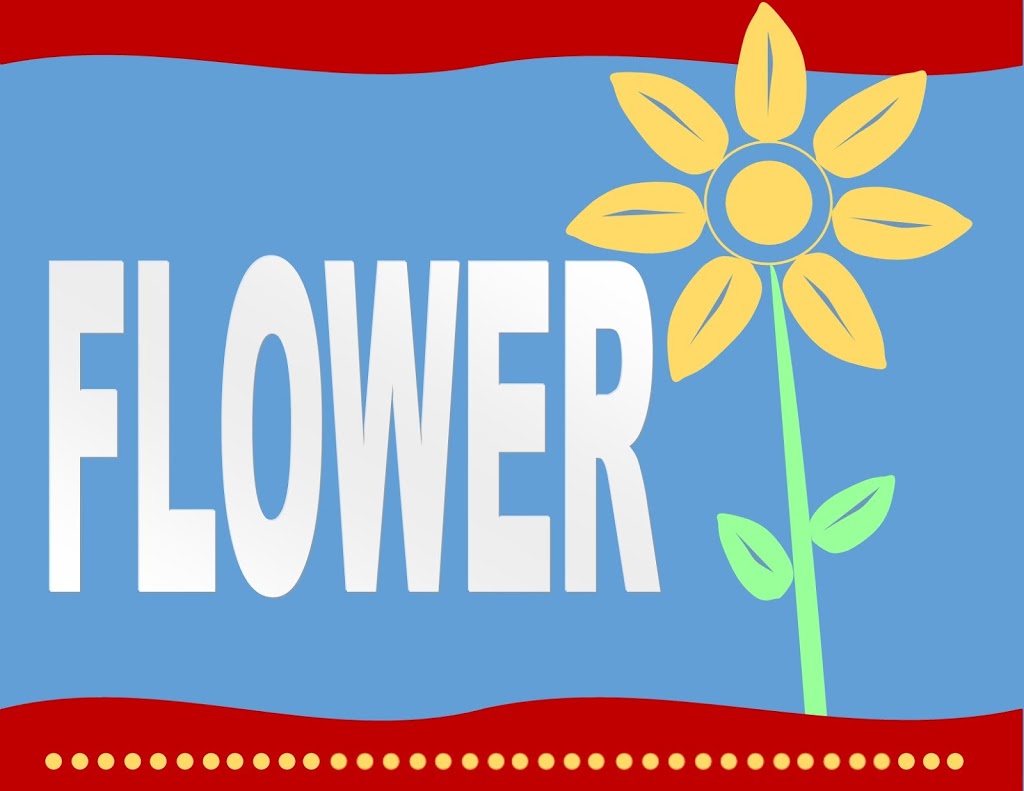 Flower - Activities In English | 1811 Rue Mandeville, Sorel-Tracy, QC J3R 2K9, Canada | Phone: (450) 846-3199